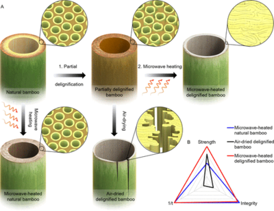“木头大王”胡良兵《ACS Nano》:竹子如何“炼”成高性能结构材料?